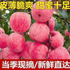 Shaanxi Luochuan Red Fuji Apple Crisp, Sweet and Fresh Full Box Fresh and Seasonal Box 10 Jin Net Weight 9 Jin 80mm