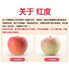 Longbaiwei authentic fresh rock candy heart apples, seasonal seasonal fruits, domestic red Fuji ugly apples, whole box, 10 jins in the whole box, fruit diameter 80-85mm, net weight 8.5 jins