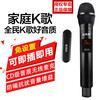 Jinmeike microphone is suitable for Changhong TV karaoke microphone TV wireless microphone national karaoke Opel microphone simple version dual microphone