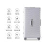 Diplomat Diplomat Suitcase Large Capacity Trolley Suitcase Password Box TC-2619 Haoyue Silver 26 inches