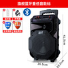 Huabao Square Dance Audio Outdoor Player and Wireless Microphone Home Singing Bluetooth High Volume Trolley Speaker Upgrade Upgrade Bluetooth Heavy Bass Upgrade