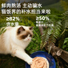 Kuwei Cat Food Full Price Staple Food Meal Pack Wet Food Nutritional Fattening Kitten Cat Rice Staple Food Cat Strips Hydrating Cat Canned Hair Beauty and Eyesight | Salmon Flavor 1000g 20 bags in total
