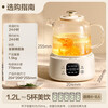 Bear Health Kettle Kettle Constant Temperature Tea Kettle Multi-level Insulation Boil Water Stew Kettle All-in-one Multifunctional Electric Kettle Flower Teapot Office Glass Boil Water Health Kettle 0 Glue YSH-E12S2 All-glass Kettle Body Equipped with Filter Stew Cup 1.2L