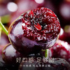 Sanmeng fruits and vegetables Chilean cherries JD SF - next-day delivery to many places Big cherry imported fruit gift box for New Year's gift 5 pounds (net weight) The most cost-effective - Cherry freedom Enjoy the gift box Black diamond level | Crisp and sweet 4J Super Fruit King 32-34mm