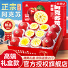 Jingdida Apple Gift Box Xinjiang Aksu Rock Candy Heart Apple Gift Box Net Weight 8 Jin Single Fruit 285g Straight from the Source
