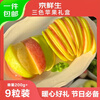 Jingxiansheng Shandong three-color apple gift box, net weight 4.2 catties, single fruit starting from 200g, free shipping directly from the source