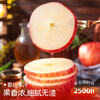 Jingdi Dalochuan Apple Red Fuji Apple Shaanxi Fruit New Year Gift Box 12 Extra Large Fruits 7 Jin 85mm + Straight from the Source