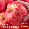 Jingdi Dalochuan Apple Red Fuji Apple Shaanxi Fruit New Year Gift Box 12 Extra Large Fruits 7 Jin 85mm + Straight from the Source