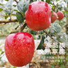 Western Region Meinong high-end daphne red apple picked after frost, crisp, sweet and juicy single fruit 150-174g gift box 12 pieces straight from the source