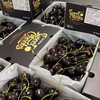 Cabuno Australian Cherry MINI Small Black Box Imported Fresh Fruit Murane Royal Dawn Big Cherry New Year Gift Box 1.8 catties (net weight) 2J (28-30mm) Cordia