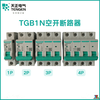 Tianzheng Electric small circuit breaker-63 household protection circuit breaker 63a32a Xiangyun DZ47 air switch C type TGB1N-63_2P_C type 10A