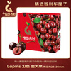 Jingxiansheng GarcesFruit Lapins Chilean cherries 2J grade 5 catties gift box straight from the source
