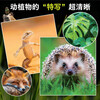 Same as Douyin, Nature Encyclopedia Children's Paper Documentary, High Definition Large Pictures, a Natural Feast for Children, Popular Science and Natural Knowledge, Natural Encyclopedia of All Things in the World