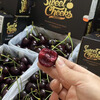 Cabuno Australian Cherry MINI Small Black Box Imported Fresh Fruit Murane Royal Dawn Big Cherry New Year Gift Box 1.8 catties (net weight) 2J (28-30mm) Cordia