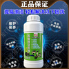 Graphene battery repair liquid original solution genuine nano-concentrated activation original replenishment liquid electric vehicle battery universal bottle of graphene original repair liquid