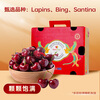 Jingxiansheng Chilean Cherry Super Big Mac 4J 5 catties gift box, fruit diameter 32-34mm, fruit gift box, free caliper