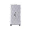 Diplomat Diplomat Suitcase Large Capacity Trolley Suitcase Password Box TC-2619 Haoyue Silver 26 inches