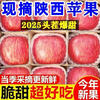 Shaanxi Luochuan Red Fuji Apple Crisp, Sweet and Fresh Full Box Fresh and Seasonal Box 10 Jin Net Weight 9 Jin 80mm