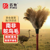 Pimu ostrich feather duster high-end feather electrostatic adsorption dust removal trumpet soft non-shedding feather duster commodity container household indoor furniture sweeping dust suction car cleaning artifact