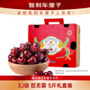 Jingxiansheng Chilean Cherry Big Mac 3J grade 5 catties gift box, fruit diameter about 30-32mm, fruit gift box, free caliper