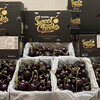 Cabuno Australian Cherry MINI Small Black Box Imported Fresh Fruit Murane Royal Dawn Big Cherry New Year Gift Box 1.8 catties (net weight) 2J (28-30mm) Cordia