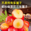 Huaxuan Rainier Golden Cherries 4J grade, next-day delivery to multiple places, large cherry New Year fruit gift box items 3 catties (net weight) Shangchao Fruit 2J grade 28-30mm selection