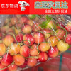 In stock Rainier gold cherries imported from Chile 4J fresh fruit yellow large cherries 900g (net weight) exquisite color box Super Big Mac 4J single fruit 32-34mm
