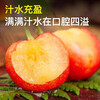Huaxuan Rainier Golden Cherries 4J grade, next-day delivery to multiple places, large cherry New Year fruit gift box items 3 catties (net weight) Shangchao Fruit 2J grade 28-30mm selection
