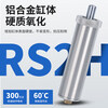 Imported blocking stop cylinder RSHSARS2H506380-30-40DLMBLMTL-X2071 RS2H63-30BM