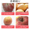 Aksu Apple Xinjiang Aksu Rock Candy Heart Apple Fresh Fruit Crisp and Sweet Red Fuji Recommended for Gifting 10 Jin in Box Single Fruit 75-85mm Net Weight 8.5 Jin