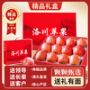 Jingdida Shaanxi Luochuan apple gift box fruit gift box high-end gift box net weight 6 pounds single fruit 190g + direct from source