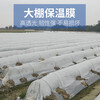 Transparent agricultural plastic film for growing vegetables, small shed film, mulching film, special film for greenhouse planting, plastic paper for heat preservation and cold protection, 4S special film for small shed, 2 meters wide and 5 meters long