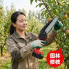 High-power high-speed chainsaw rechargeable portable lithium-ion chain saw outdoor wireless small logging hand saw for tree cutting and pruning 8-inch high-efficiency tree sawing king 898800H king battery life 2 batteries 2 chains newly upgraded high-power copper motor surging power