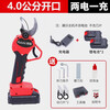 Kuoai electric scissors for cutting branches, electric shears for branches, pruning shears for pruning branches, genuine garden fruit tree pruning shears, new style - two batteries, one charger + accessories (can cut 3.0cm)
