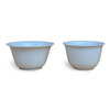 Miaopule Disposable Rice Hull Kung Fu Tea Cup Outdoor Office Portable Storage Tea Set Set for Making Tea Rice Fragrance Cup Large Cup Rice Hull Tea Cup 80ml 10 Packs (500 Pieces)