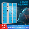Supermarket Electronic Bag Storage Cabinet Smart Locker Mobile Phone Locker Barcode Fingerprint Scan Code Face Recognition WeChat Cabinet 12 Doors Fingerprint Model