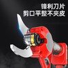 Kuoai electric scissors for cutting branches, electric shears for branches, pruning shears for pruning branches, genuine garden fruit tree pruning shears, new style - two batteries, one charger + accessories (can cut 3.0cm)