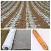 Mulch agricultural film agricultural white film white plastic film agricultural film white plastic film film agricultural vegetables gross weight 20 pounds 1 silk 2 meters wide 500 meters long