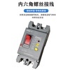 2P household high-power leakage protector 100A250A single-phase 220V leakage circuit breaker switch lightning protection with light 2P 250A