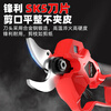 DELIXI Electric Electric Scissors Rechargeable Electric Scissors Fruit Tree Pruning Branch Pruning Shears Electric Pruning Artifact Brushless Upgraded Model 2.0Ah Two Electric