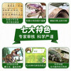 Dinosaur Encyclopedia, a complete set of 8 volumes. Dinosaur books, children's picture books for 3-6 years old, kindergarten reading with pinyin. Dinosaur picture books, comics, Dinosaurs Jurassic Park, elementary school students' popular science encyclopedia, Dinosaur World Encyclopedia, bedtime story book, Dinosaur Encyclopedia, a complete set of 8 volumes.