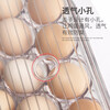 Home KATEI STORY Japanese food-grade egg storage box for refrigerator with lid egg box kitchen egg tray egg rack food special box 16-grid egg box