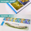 Ready in stock with free shipping. A complete 7-volume set of Chinese geography for teenagers. Planet Research Institute (a treasure-level encyclopedia of Chinese geography popular readings for teenagers). Happy reading. Summer must-read extracurricular reading.
