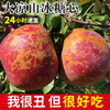 Ugly Apple Fruit Fresh 10 Jin Daliangshan Yanyuan Apple Seasonal Whole Box Pregnant Women Rock Candy Heart Authentic Red Fuji 3 Jin (Bag Fruit) 70-75mm (Not Included) Medium Fruit Affordable Pack
