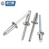 Guwanji all steel rivets 316/304 stainless steel core blind rivets open type rivets round head rivets M5x10 50 pieces 316 round head/all steel