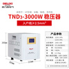 Delixi Electric Home Voltage Stabilizer 3000W 220V Computer TV Refrigerator Air Conditioner Single Phase AC Power Supply TND3 3KW