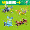 KuChong School popular science comics commemorative collection gift box (new 18 volumes, randomly given insect inserts or KuChong School Natural History Museum study punch book)