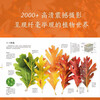 DK Plant Encyclopedia (New Edition) Collection-level Plant Atlas Explore Plant Secrets JD.com Self-operated Genuine