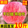 Erdie Shaanxi Red Fuji Apple Fresh Fruit 10 Jin Rock Candy Heart Seasonal Ugly Apple Seasonal Fruit Crisp Sweet Whole Box Selected 9 Jin Pack Net Weight 8.5 Jin 75-80mm