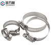 GUWANJI 304 stainless steel hose hoop/clamp clamp tightening hoop locking hoop gas pipeline water pipe oil pipe pipe clamp pipe clamp one-word hose clamp M8-16 (20 pieces)